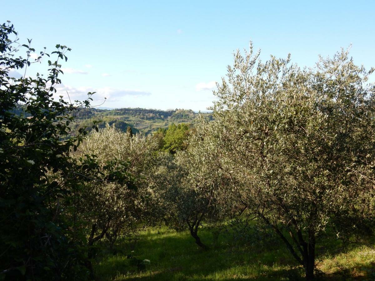 Agriturismo Anna-Rosa Legoli Eksteriør bilde