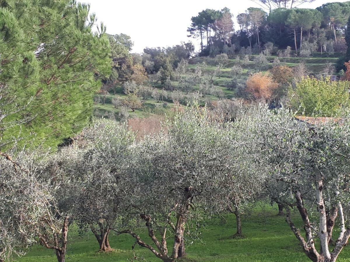 Agriturismo Anna-Rosa Legoli Eksteriør bilde